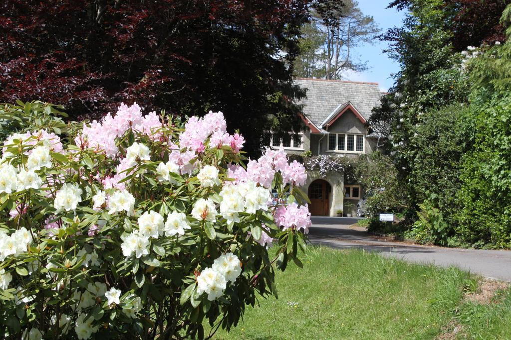 Knapp House Lodges East Anstey Экстерьер фото